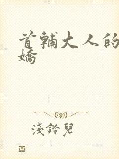 首辅大人的掌心娇