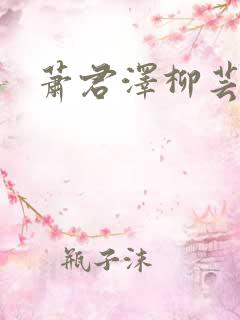 萧君泽柳芸小说