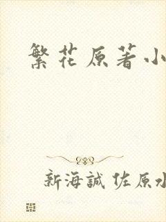 繁花原著小说