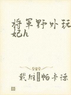 将军野外玩弄贵妃h