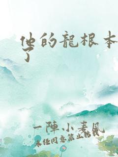 他的龙根本太大了