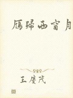 雁归西窗月小说