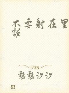 不要射在里面小说
