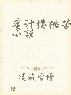 蜜汁樱桃苦咖啡小说