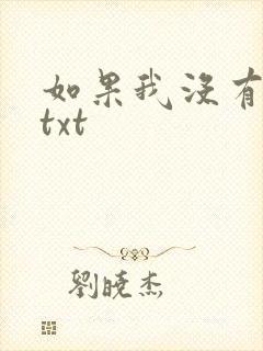 如果我没有爱过txt