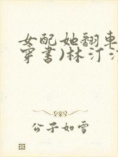 女配她翻车了(穿书)林汀汀