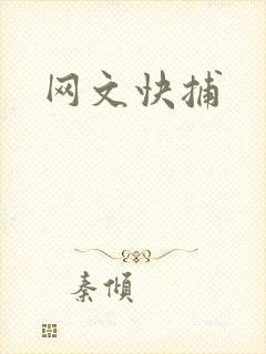 网文快捕