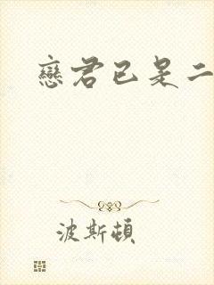 恋君已是二十年