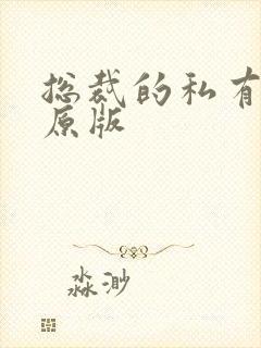 总裁的私有宝贝原版