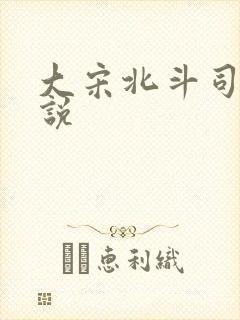 大宋北斗司 小说