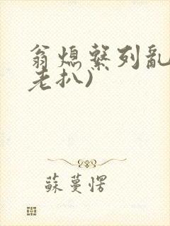 翁熄系列乱 (老扒)