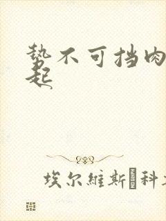 势不可挡肉到飞起