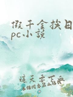 假千金挨日记npc小说