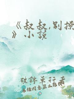 《叔叔,别撩我》小说