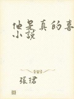 他是真的喜欢你小说