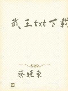武王txt下载
