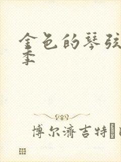 金色的琴弦第二季