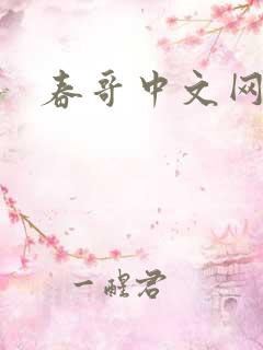 春哥中文网