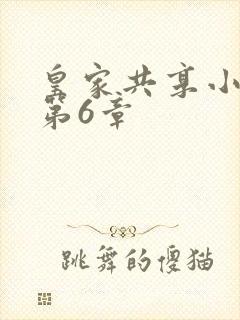 皇家共享小公主第6章