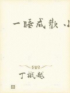 一睡成欢 小说