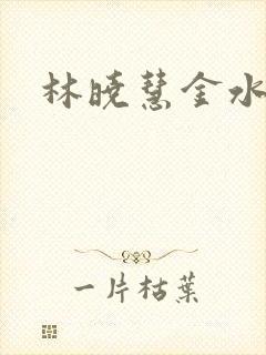 林晓慧金水全文