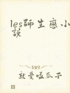 les师生恋小说