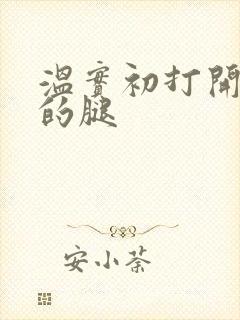 温实初打开眉庄的腿