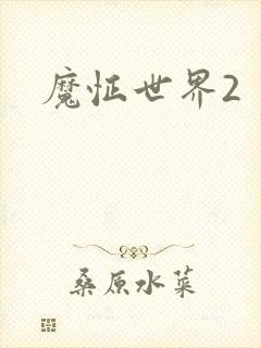 魔怔世界2