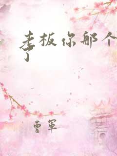 老板你那个太长了