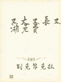 又大又长又租高湖免费