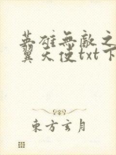 英雄无敌之十二翼天使txt下载