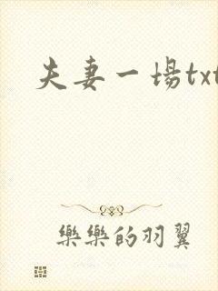 夫妻一场txt