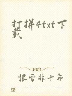 打拼4txt下载