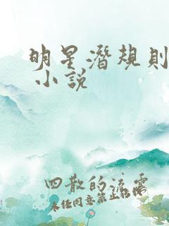 明星潜规则之皇 小说