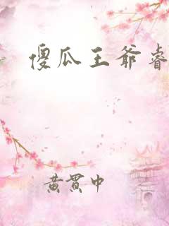 傻瓜王爷睿智妃