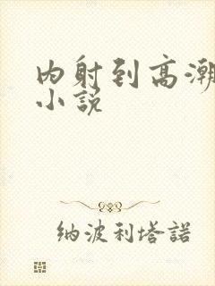 内射到高潮的H小说