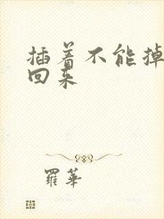 插着不能掉等我回来