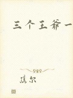 三个王爷一个妃