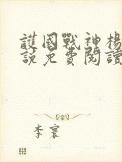 护国战神杨风小说免费阅读