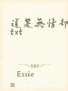 道是无情却有情txt