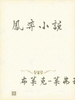 凤弈小说