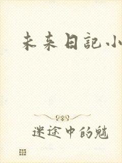 未来日记小说