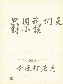 只因我们天生一对小说