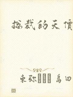 总裁的天价宝贝