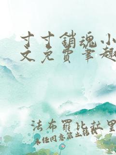 寸寸销魂小说全文免费笔趣阁