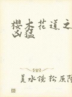 樱木花道之重生凶猛