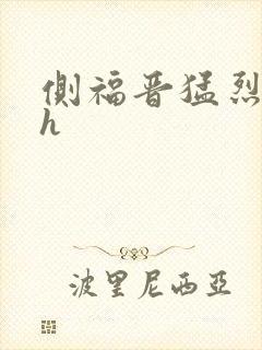 侧福晋猛烈顶弄h