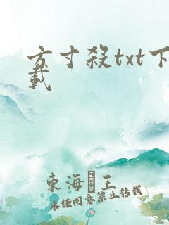 方寸杀txt下载