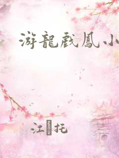 游龙戏凤小说