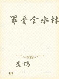 罪爱金水林晓慧